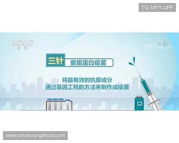 专业推荐的ag手机版登录线路，助你轻松应对各种登录难题