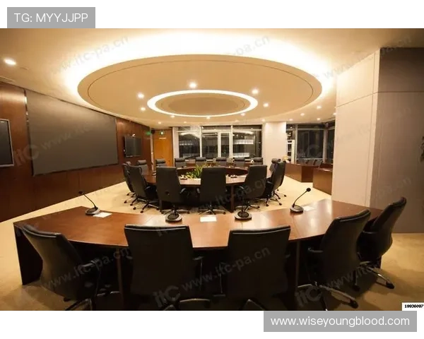 全面介绍PA视讯中心的先进技术与设备,助力企业实现高效视频会议与直播 全面介绍PA视讯中心的先进技术与设备,助力企业实现高效视频会议与直播