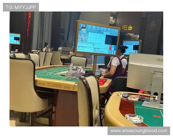 免费百家乐模拟游戏让玩家轻松体验真实赌场的刺激与乐趣无需任何费用即可享受高品质的百家乐模拟体验