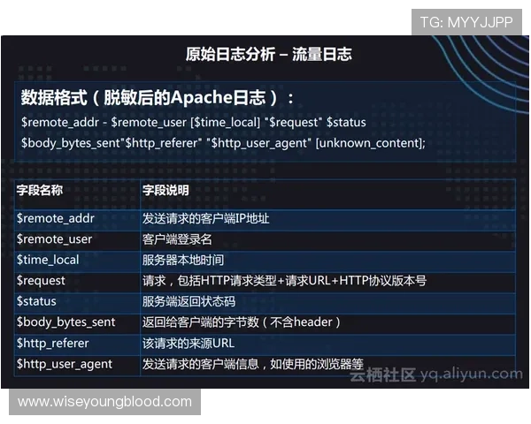 PA视讯beats365官方版本下载指南，详细步骤帮助新手快速上手畅玩无忧