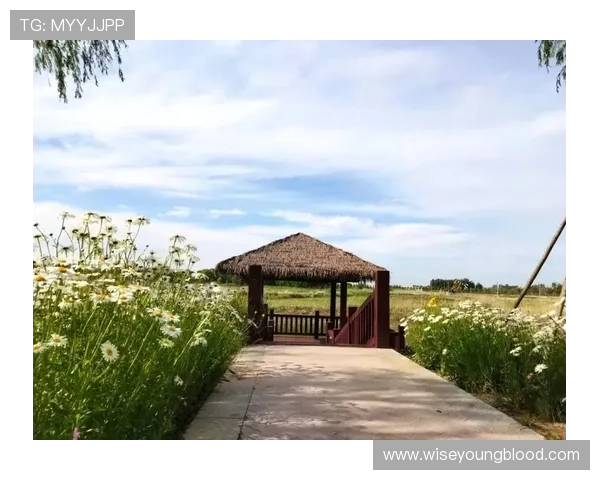 在K8.com凯发百家乐官网享受高额返水和优惠活动提升您的游戏盈利