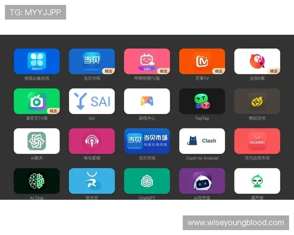 多宝真人电脑版下载安装包，快速下载与安装完整流程详解