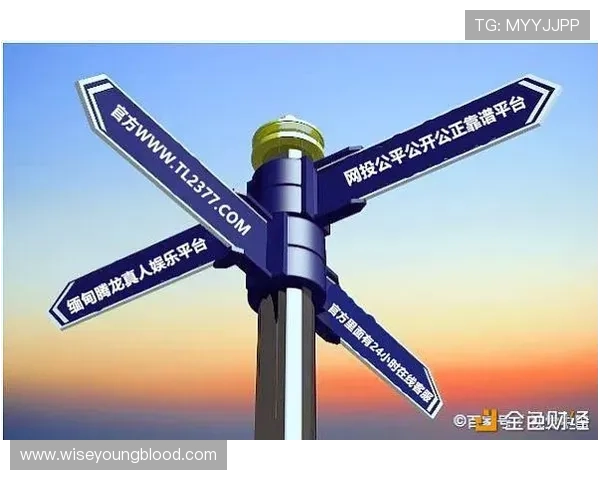 如何选择优质的AG真人网投下载渠道，保障账号安全和游戏体验的实用技巧