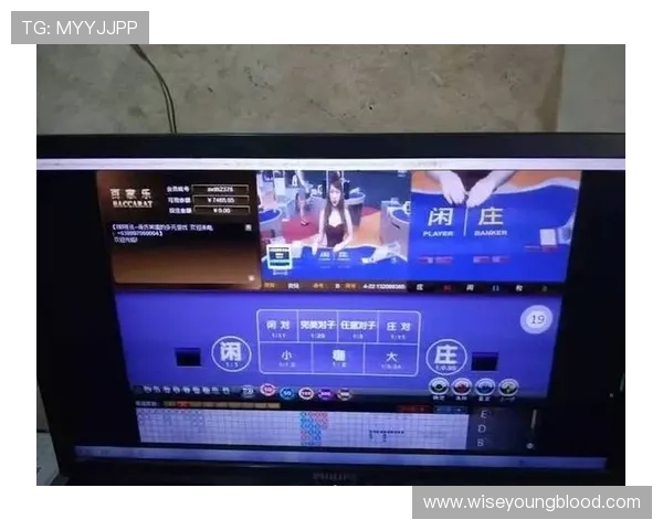 探索ag百家乐玩法的多样策略，打造属于你的最佳游戏方案