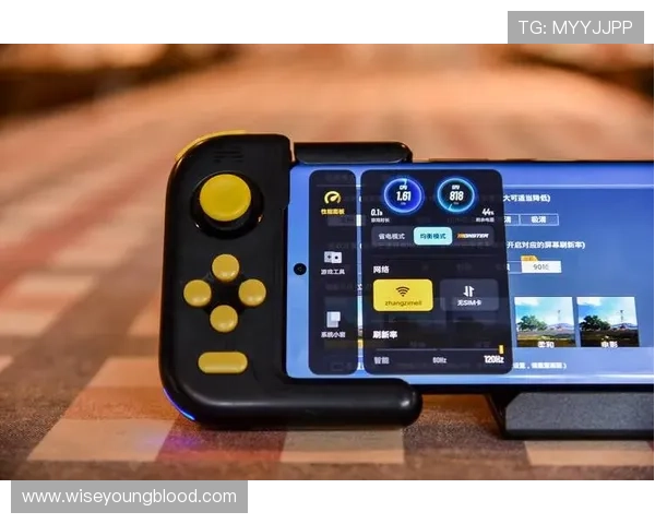 掌握PA视讯客户端下载技巧，提升游戏体验与账号安全的实用建议