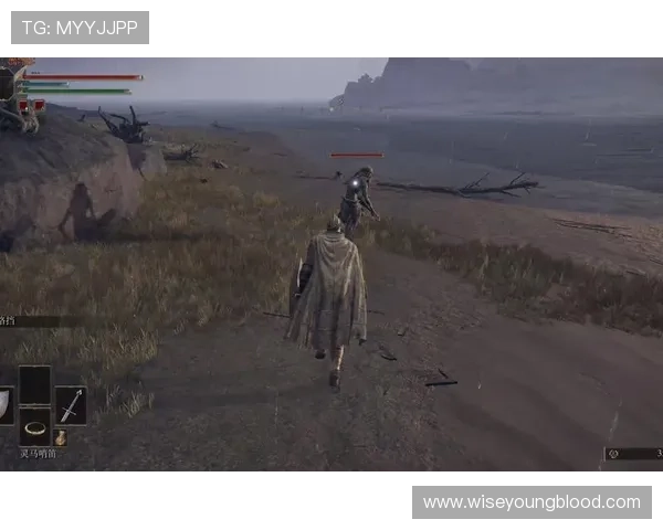 欧宝视讯热门游戏推荐满足不同玩家的娱乐需求与偏好 欧宝视讯热门游戏推荐满足不同玩家的娱乐需求与偏好