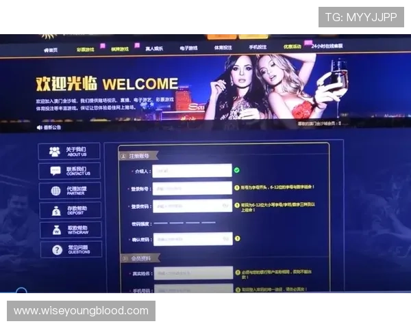 百家樂娛樂城平台多重保障系统，确保玩家资金安全与公平公正的游戏环境