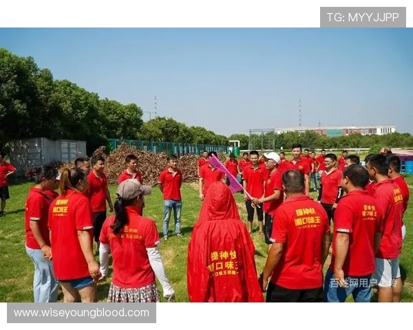 如何在ku真人体育娱乐登录页优化你的投注策略提升胜率的实用技巧解析