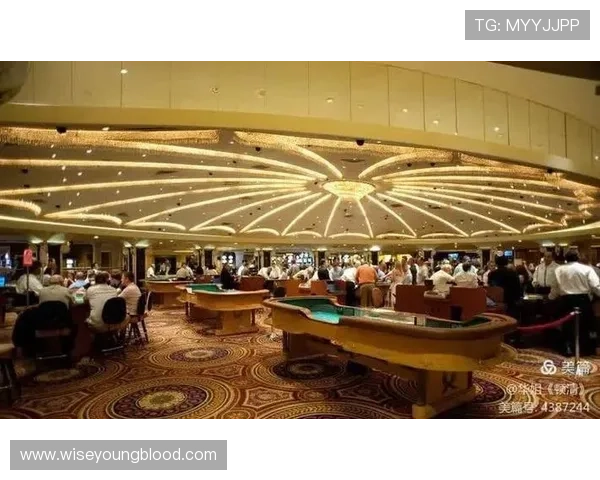 探索吉隆坡云顶地区的赌场名字，了解各大赌场的品牌影响力与娱乐体验