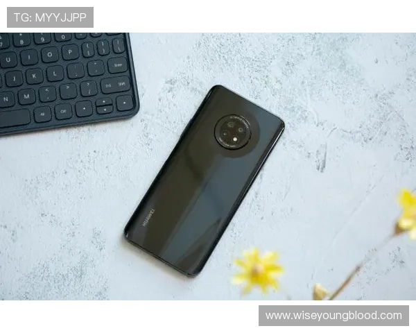 ds视讯下载最新官方版本，安全稳定支持多平台畅享高清娱乐体验