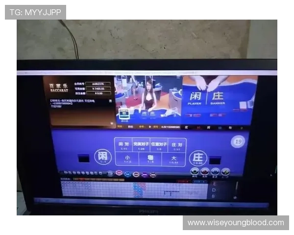 亚星百家乐官方网注册流程详解及新手入门指南，快速上手体验精彩游戏乐趣